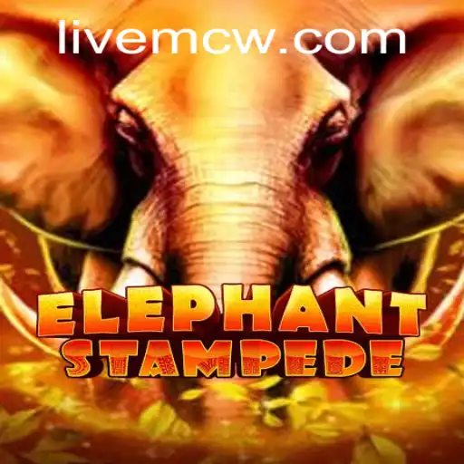 The Thrilling World of ElephantStampede: An In-Depth Guide